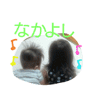 みのんとりくと（個別スタンプ：8）