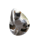 ねこ2人（個別スタンプ：4）