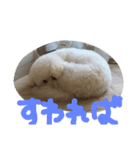mofu..mofu（個別スタンプ：6）