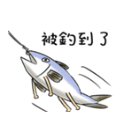 Salted fish（個別スタンプ：22）