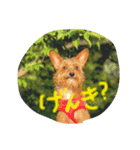 イッヌ（個別スタンプ：7）