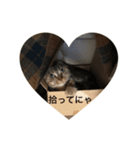 ラブリーな猫 3（個別スタンプ：7）