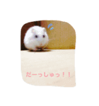 おもちもちもちもちもち（個別スタンプ：7）
