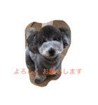 犬のぱらだいす（個別スタンプ：6）