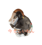 犬のぱらだいす（個別スタンプ：7）