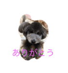 犬のぱらだいす（個別スタンプ：10）