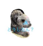犬のぱらだいす（個別スタンプ：11）
