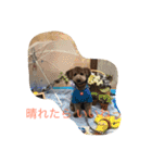 犬のぱらだいす（個別スタンプ：17）