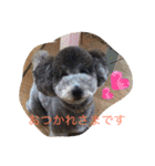 犬のぱらだいす（個別スタンプ：18）