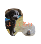 犬のぱらだいす（個別スタンプ：19）