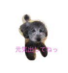 犬のぱらだいす（個別スタンプ：20）