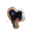 犬のぱらだいす（個別スタンプ：21）