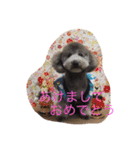 犬のぱらだいす（個別スタンプ：22）