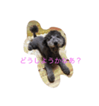 犬のぱらだいす（個別スタンプ：23）