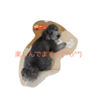 犬のぱらだいす（個別スタンプ：25）