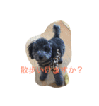 犬のぱらだいす（個別スタンプ：26）