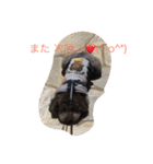 犬のぱらだいす（個別スタンプ：27）