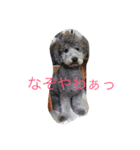 犬のぱらだいす（個別スタンプ：32）