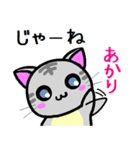 あかり ねこ（個別スタンプ：25）