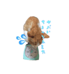 すことらにゃんこ2（個別スタンプ：26）
