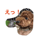 我が家の可愛い家族たち（個別スタンプ：3）