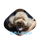 我が家の可愛い家族たち（個別スタンプ：6）
