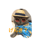 我が家の可愛い家族たち（個別スタンプ：8）
