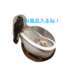 我が家の可愛い家族たち（個別スタンプ：14）