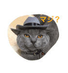 我が家の可愛い家族たち（個別スタンプ：16）