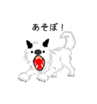 動く！白いモコモコの秋田犬の忠犬くん（個別スタンプ：2）