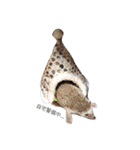 ハリネズミのはりぼーたん（個別スタンプ：9）