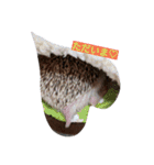 ハリネズミのはりぼーたん（個別スタンプ：14）