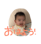 こはたんスタンプ（個別スタンプ：3）