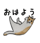 猫のイラスト（個別スタンプ：5）