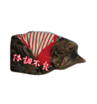 とらえもんらいふ（個別スタンプ：7）