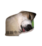 気持ちは一緒（個別スタンプ：7）