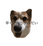 気持ちは一緒（個別スタンプ：10）
