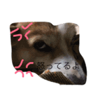 気持ちは一緒（個別スタンプ：11）