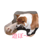 気持ちは一緒（個別スタンプ：15）