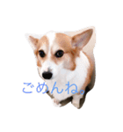 気持ちは一緒（個別スタンプ：16）