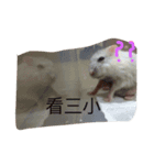 boring daily（個別スタンプ：6）