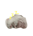 boring daily（個別スタンプ：8）