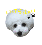 パンくんの日常1（個別スタンプ：4）