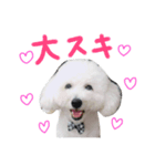 パンくんの日常1（個別スタンプ：7）