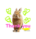 まるっと ウサギの まる。happy（個別スタンプ：1）