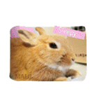 まるっと ウサギの まる。happy（個別スタンプ：4）