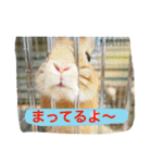 まるっと ウサギの まる。happy（個別スタンプ：7）