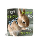 まるっと ウサギの まる。happy（個別スタンプ：22）