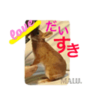 まるっと ウサギの まる。happy（個別スタンプ：26）