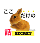 まるっと ウサギの まる。happy（個別スタンプ：28）